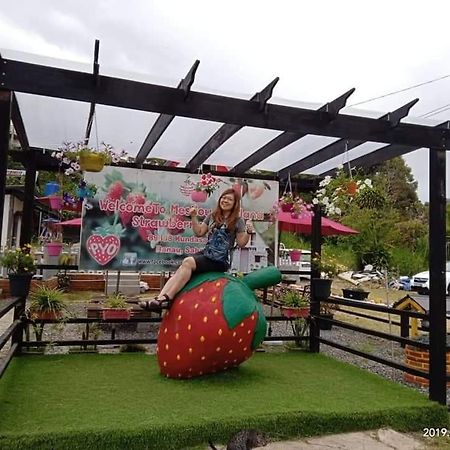 Berries Residence Kampong Kundassan Bagian luar foto